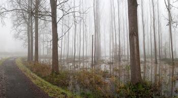 Panorama of biketrack at Provinciaal domein De Gavers in Geraardsbergen with the Dender river on the left side of the track and flooded meadows and forests on the right side of the image.