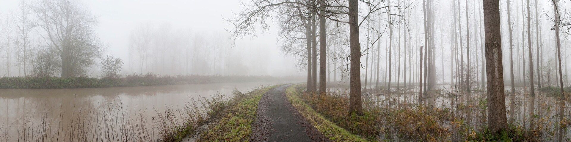 Panorama of biketrack at Provinciaal domein De Gavers in Geraardsbergen with the Dender river on the left side of the track and flooded meadows and forests on the right side of the image.