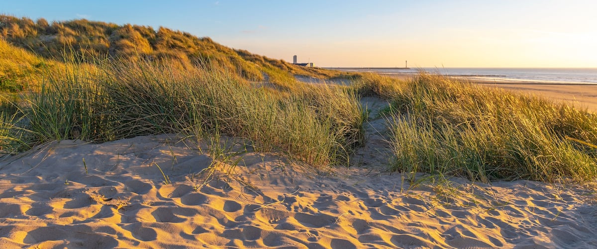 A sandy beach with dunes and a clear sky.