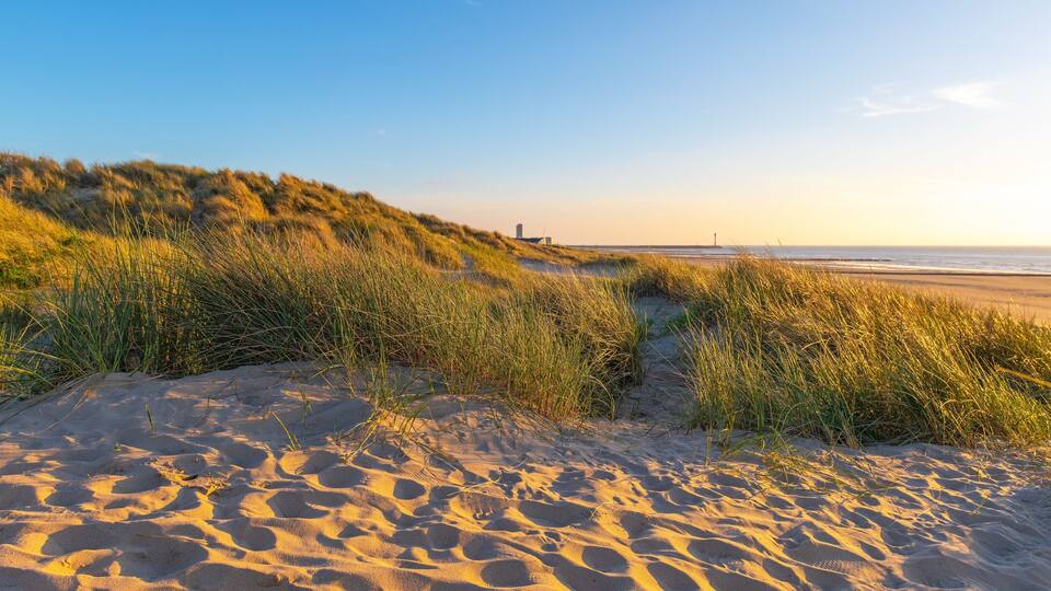 Sand Dunes with grass at sunset by North Sea beach, Oostende (Ostend), Flanders, Belgium.