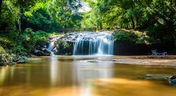 Beautiful waterfall Mae Sa, Thailand. Fresh and pure water stream is flowing on the rock stone ground in tropical rainforest. Fresh plants and trees above river. Vibrant colors in pure nature