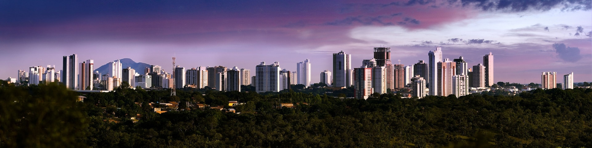 Linha do horizonte urbana com vários edifícios altos e uma montanha ao fundo.