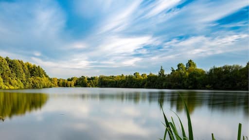 This quiet little fisher spot is an amazing piece of serenity, ideal to stay and relax but also to go fishing or photography, at the evening you will meet some joggers, walkers and little rabbits if you’re lucky.
More pictures on Instagram @thierryroyls_nature