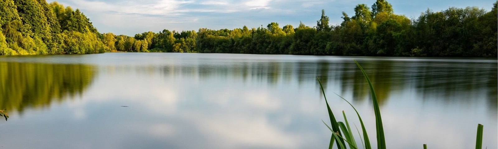 This quiet little fisher spot is an amazing piece of serenity, ideal to stay and relax but also to go fishing or photography, at the evening you will meet some joggers, walkers and little rabbits if you’re lucky.
More pictures on Instagram @thierryroyls_nature