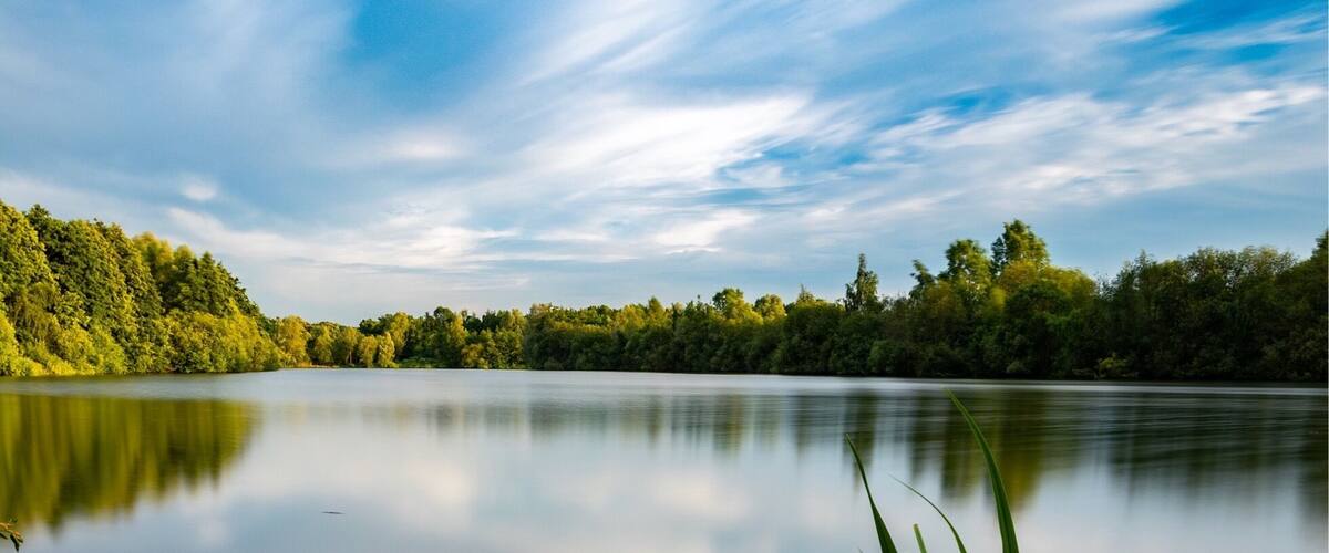 A calm lake with a clear reflection of the sky, surrounded by dense green trees and a sandy shore with tall grass.