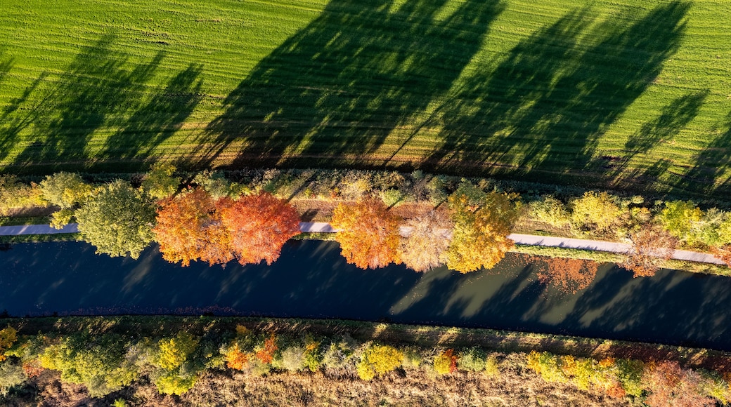 Top down aerial view taken by a drone of the fall colors around the canal Dessel Schoten aerial photo in Rijkevorsel, kempen, Belgium, showing the waterway in the natural green agricultural landscape