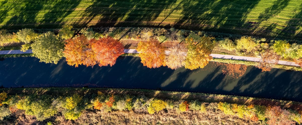 An aerial view of a river with trees displaying autumn colors, a road, and shadows of trees on the riverbank.