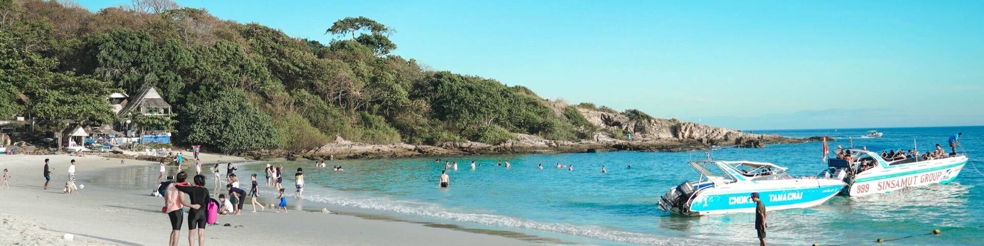 A beach with boats, people, and a forested hillside.