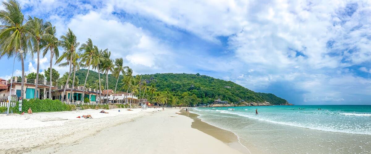 A beach with palm trees, a sandy shore, and a mountain in the background.