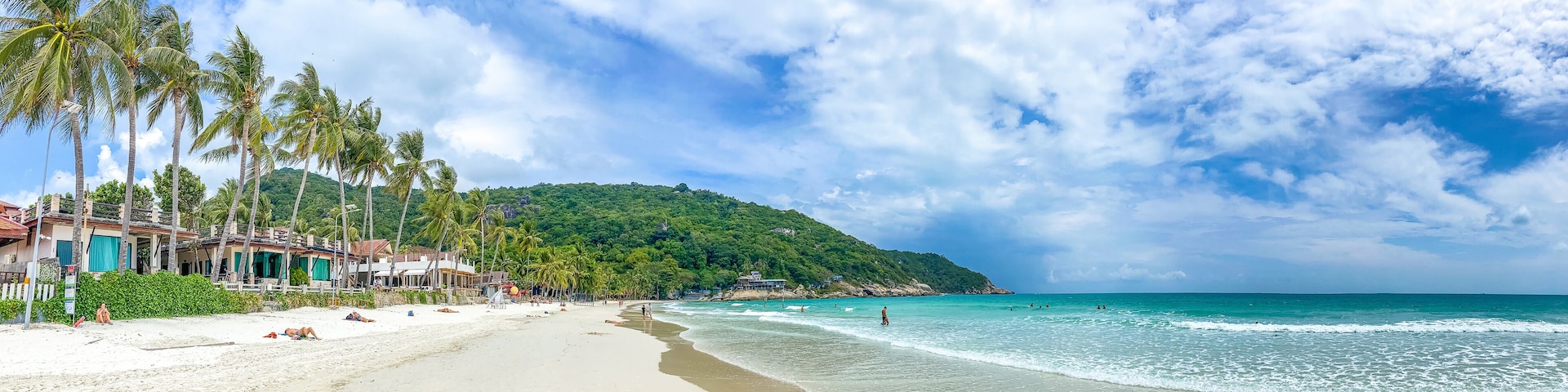 A beach with palm trees, a sandy shore, and a mountain in the background.