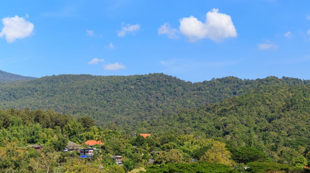 Panorama of tropical forest mountain in Hang Dong district in Chiang Mai, Thailand