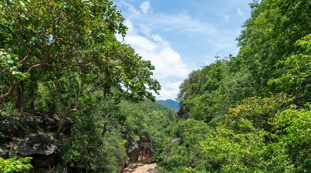 View from the footbridge at Op Luang Canyon, Chiang Mai, Thailand