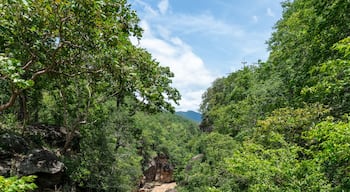 View from the footbridge at Op Luang Canyon, Chiang Mai, Thailand