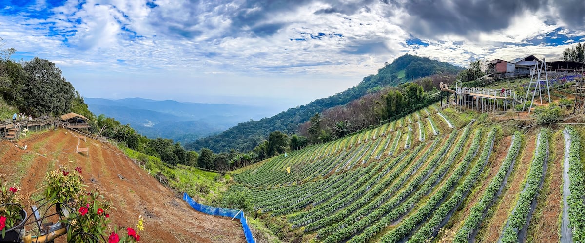 Terraced agricultural fields, a wooden bridge, and a mountainous landscape under a partly cloudy sky.
