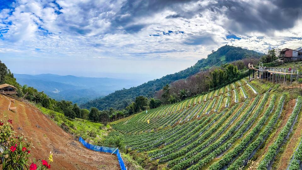 Skywalk Mon Jam flower garden in Mae Rim, Chiang Mai, Thailand