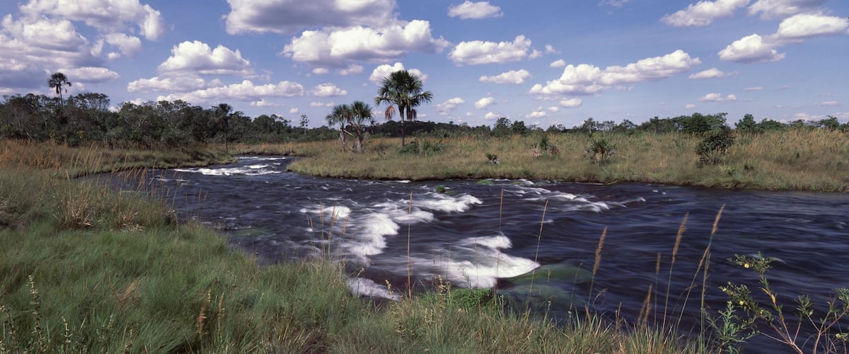 A river flowing through a grassy landscape with trees and a clear sky.