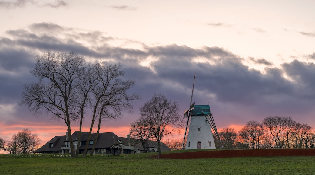 Een vuurtoren, een huis en kale bomen tegen een zonsondergang.