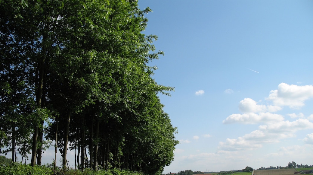The countryside of the Ingooigem province of West Flanders, Belgium. On the right are the slopes of Tiegemberg Hill.