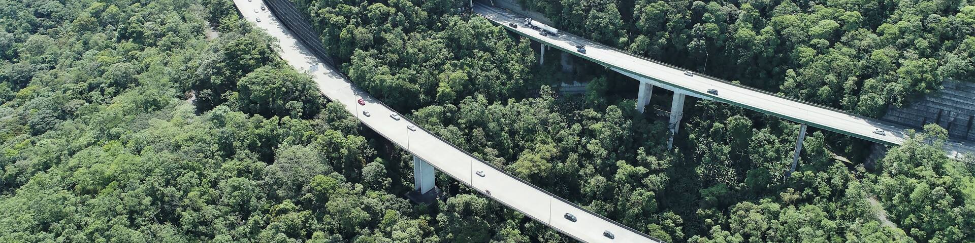 A winding highway through a dense forest with multiple overpasses.