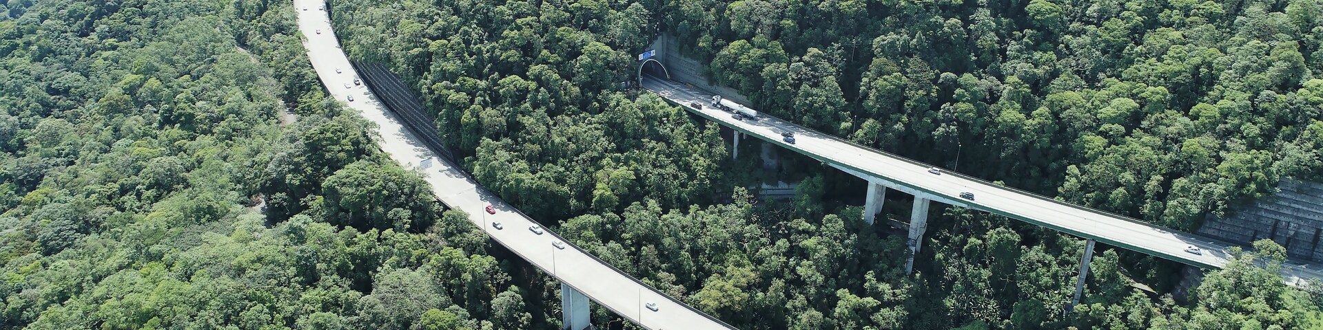 Uma estrada sinuosa serpenteando por uma floresta densa, com várias passagens elevadas.