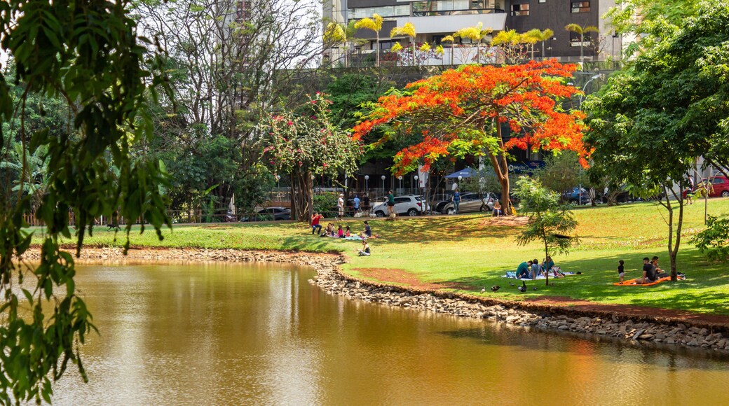 Um ângulo do Parque Flamboyant na cidade de Goiânia onde há uma árvore também chamada Flamboyant (Delonix regia) em flor. Um lugar para passear e relaxar.