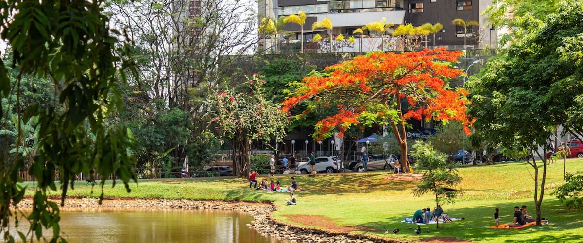 Um parque com lago, árvores e pessoas relaxando na grama.