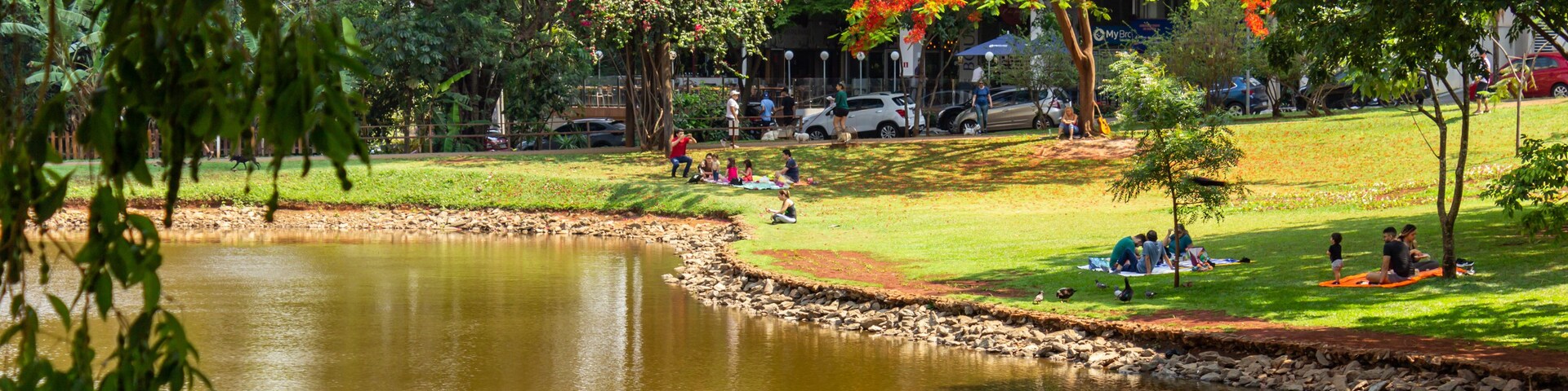 Um parque com lago, árvores e pessoas relaxando na grama.