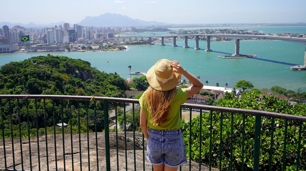 A person overlooking a cityscape with a river, a bridge, and mountains in the background.