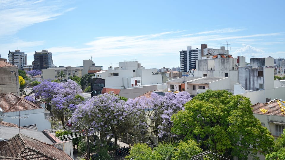 View of the Bela Vista neighborhood in Porto Alegre