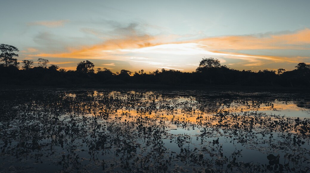 Sunset in Pantanal
