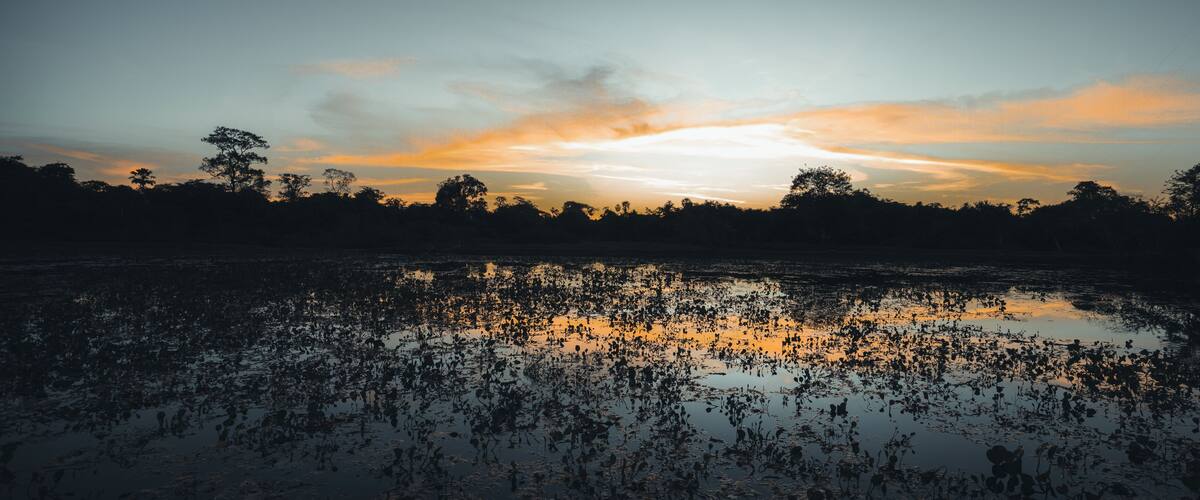 Sunset in Pantanal