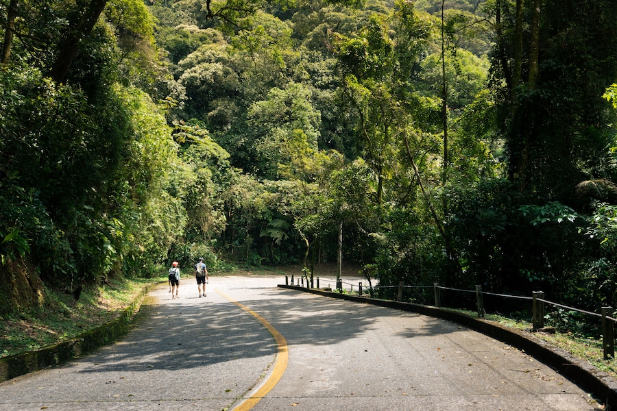 two tourists walking on an deactivated road in the middle of the Atlantic Forest  known as Estrada Velha de Santos in the State Park Caminhos do Mar. Sao Bernardo do Campo, Sao Paulo, Brazil.