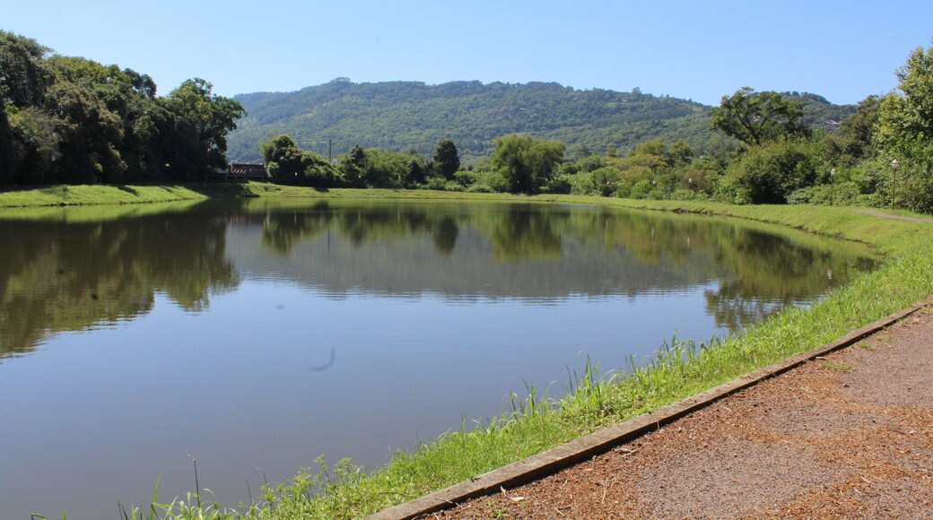 เรกันโต เฟลิซ