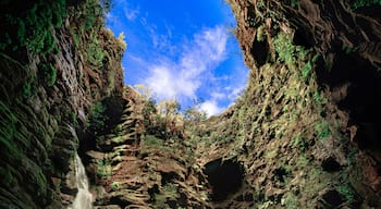 Centro de Ponta Grossa