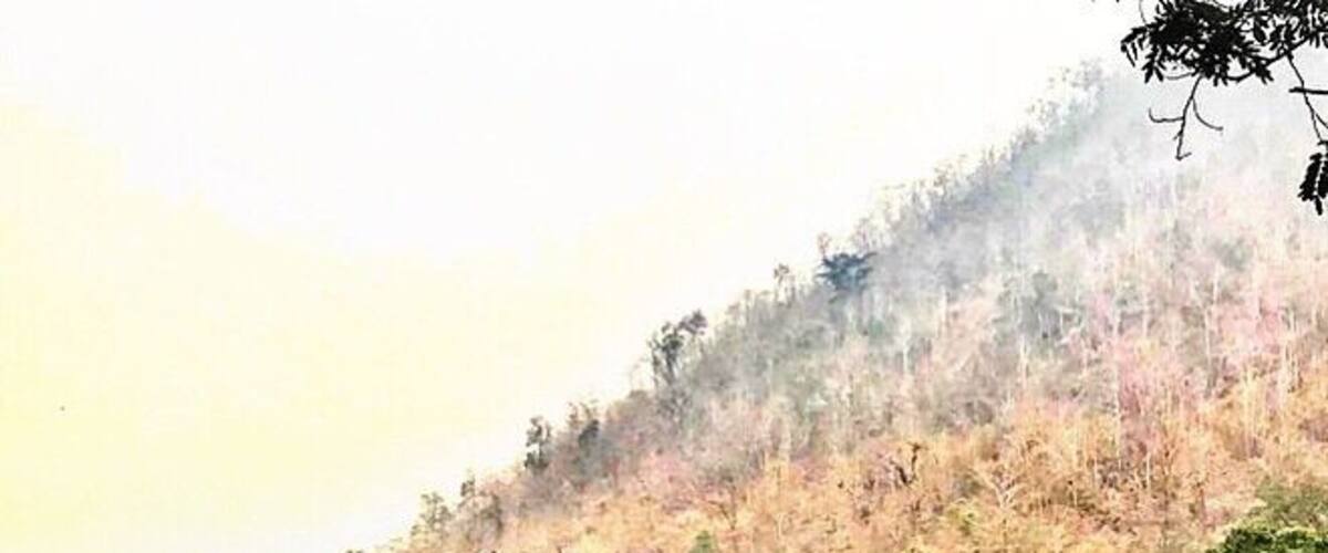 Elephants Natural Park