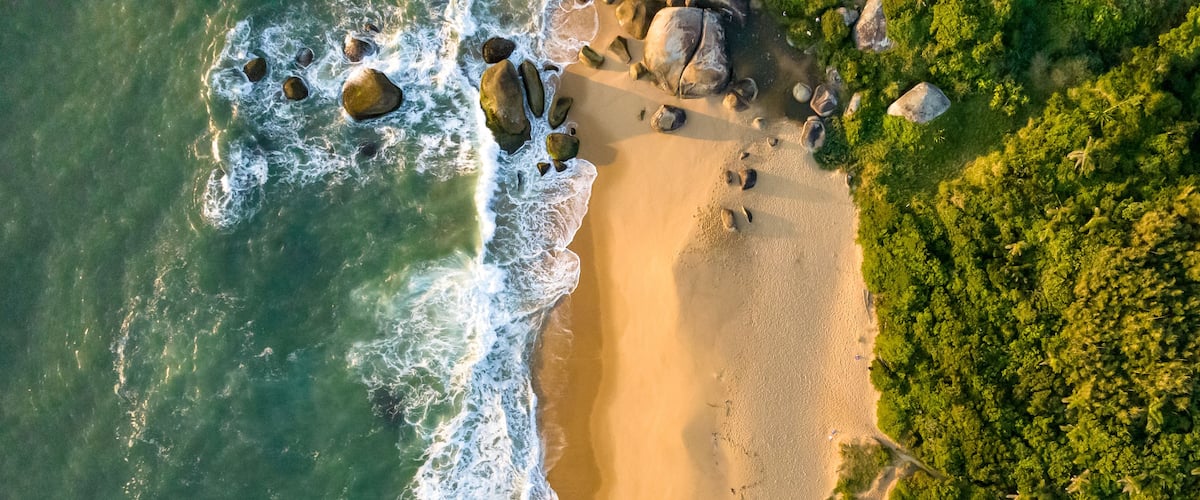 Una playa con olas, rocas y densa vegetación verde.
