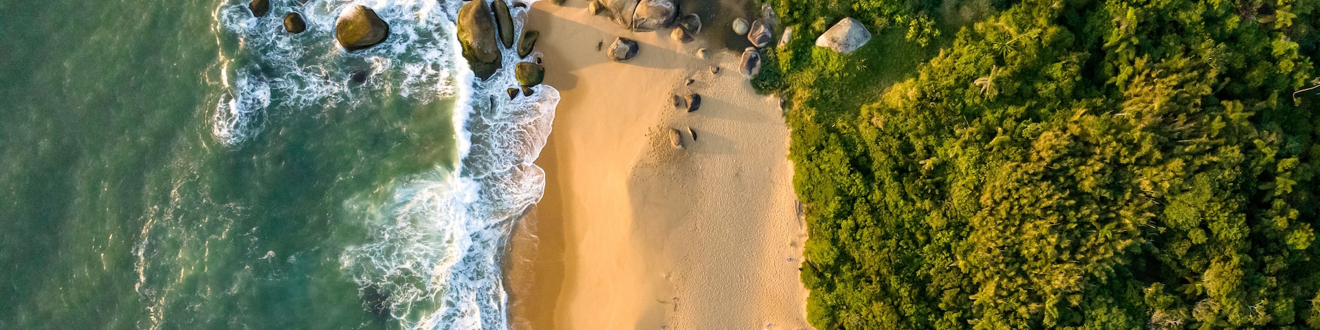 Una playa con olas, rocas y densa vegetación verde.