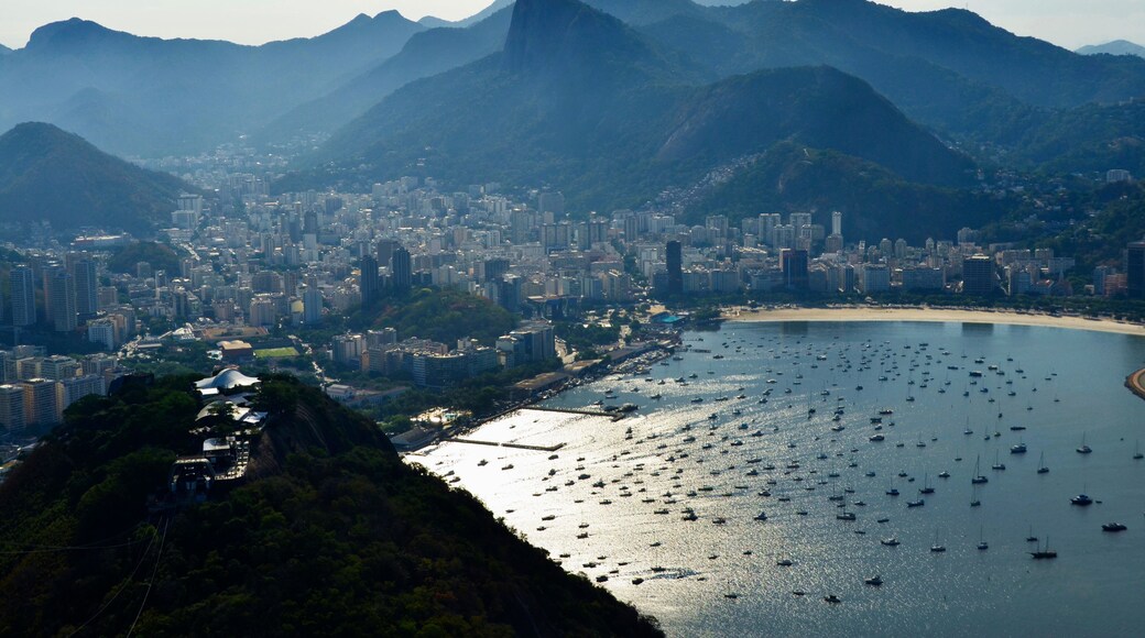 A cityscape with a prominent mountain and a bay filled with boats.