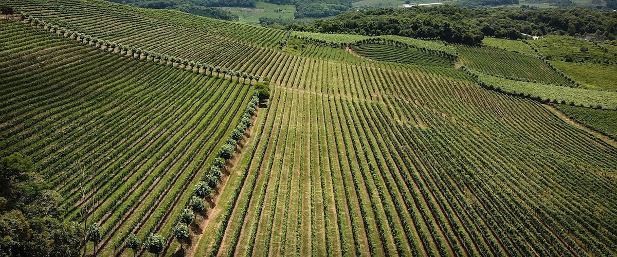 Aerial view of the valley of the vineyards in Bento Gonçalves, in the Serra Gaúcha, Brazil