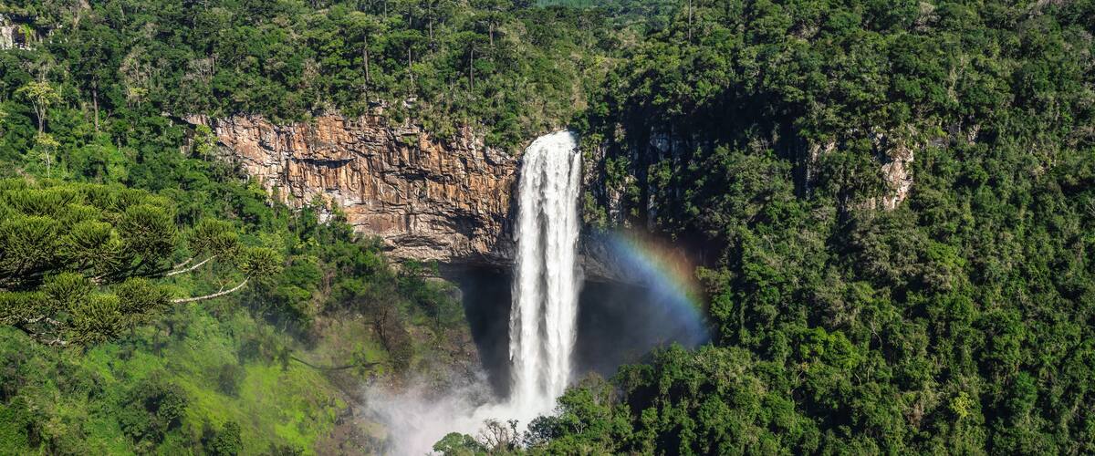 A waterfall surrounded by dense forest.