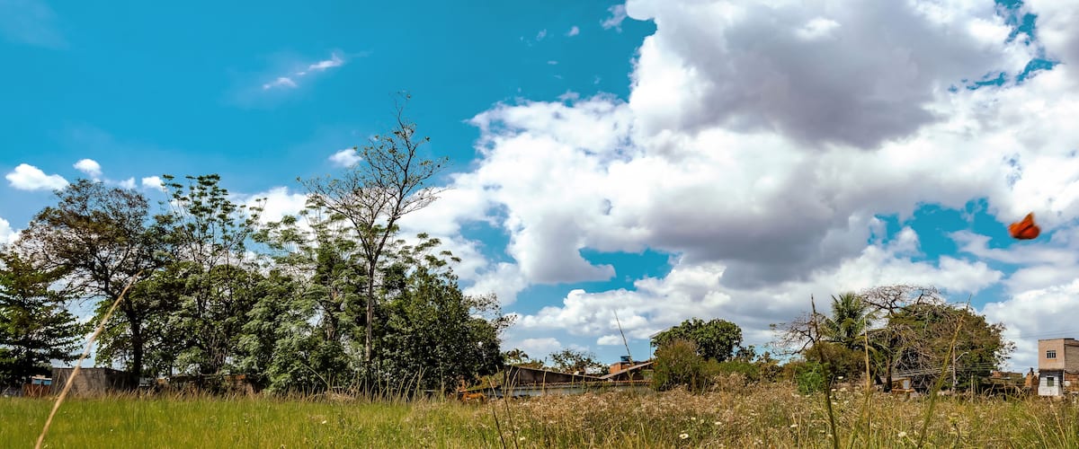 Paisaje rural con cielo despejado, algunas nubes dispersas y diversos árboles.