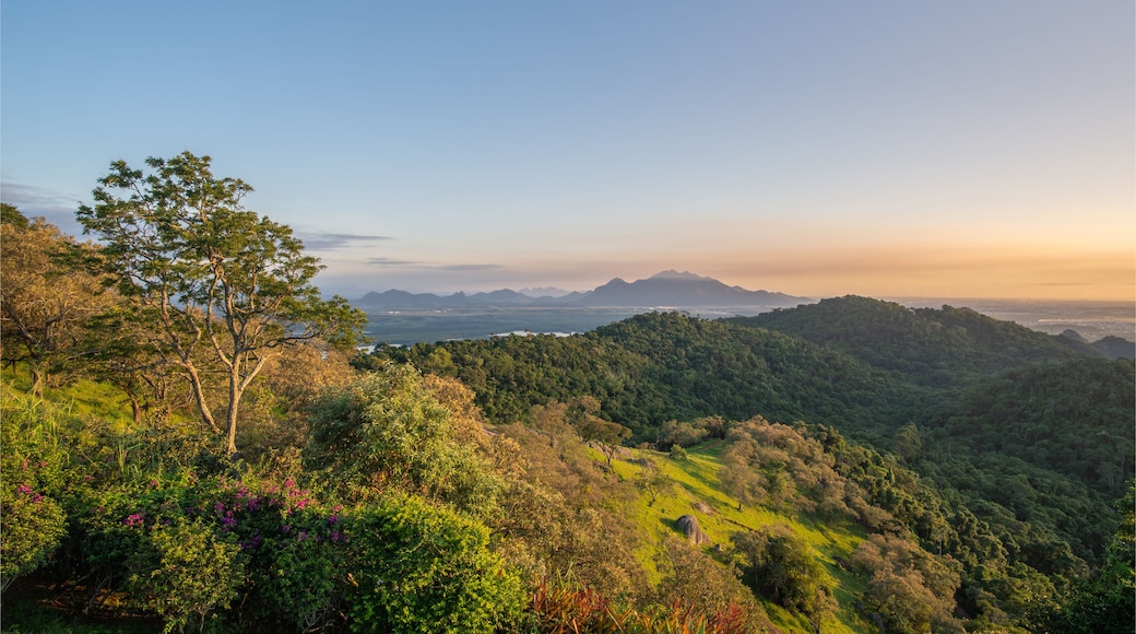 Vista panorâmica do nascer do sol na parte alta de Vitória, capital do Estado do Espírito Santo, mostrando a mata remanescente e o morro do Mestre Álvaro ao fundo.