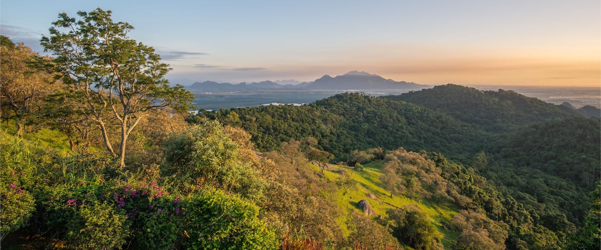 A lush green landscape with a prominent tree in the foreground, rolling hills, and distant mountains under a clear sky.
