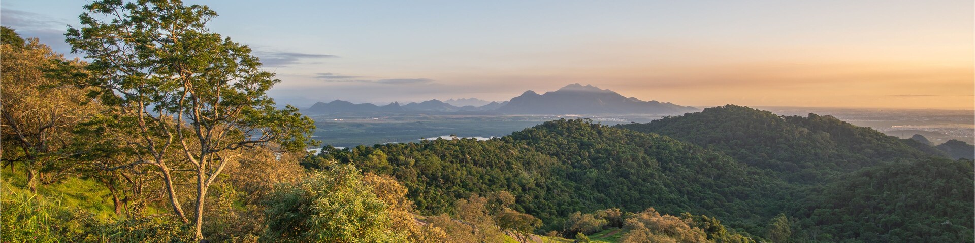 Paisagem verde exuberante com uma árvore imponente em primeiro plano, colinas ondulantes e montanhas ao longe sob um céu claro.