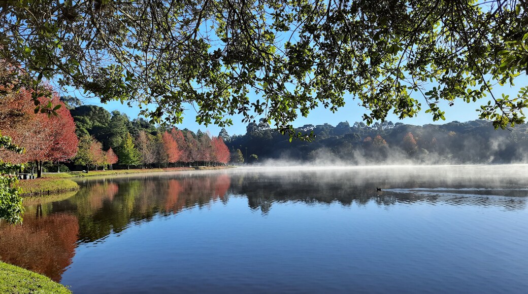 outono em são francisco de paula, rio grande do sul
