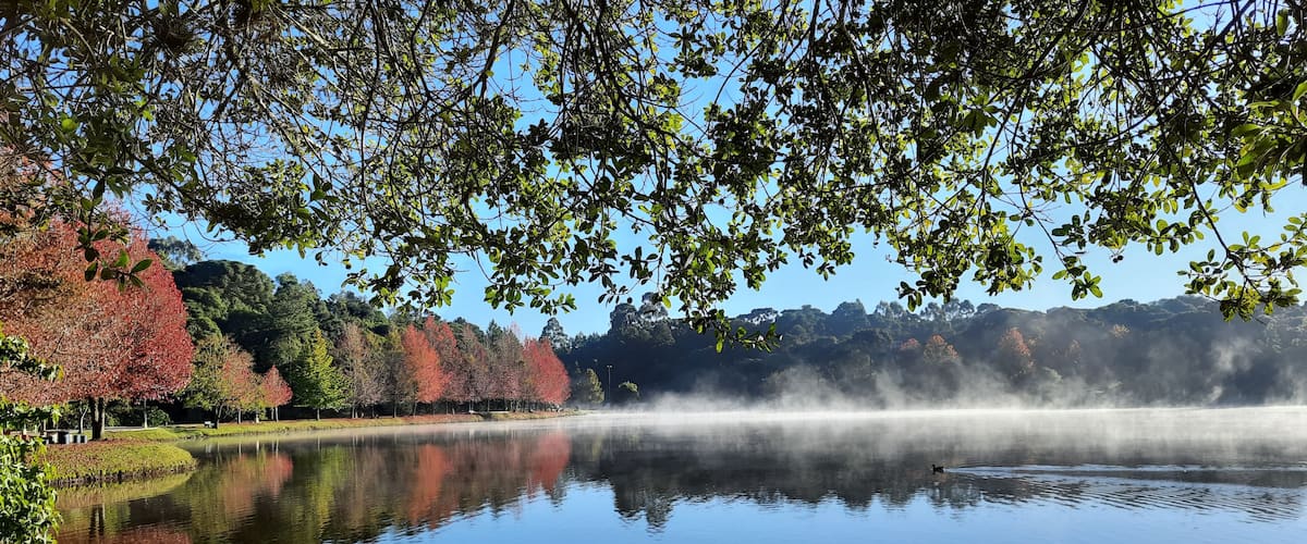 A calm lake with a mist rising from the water, surrounded by trees with autumn foliage.
