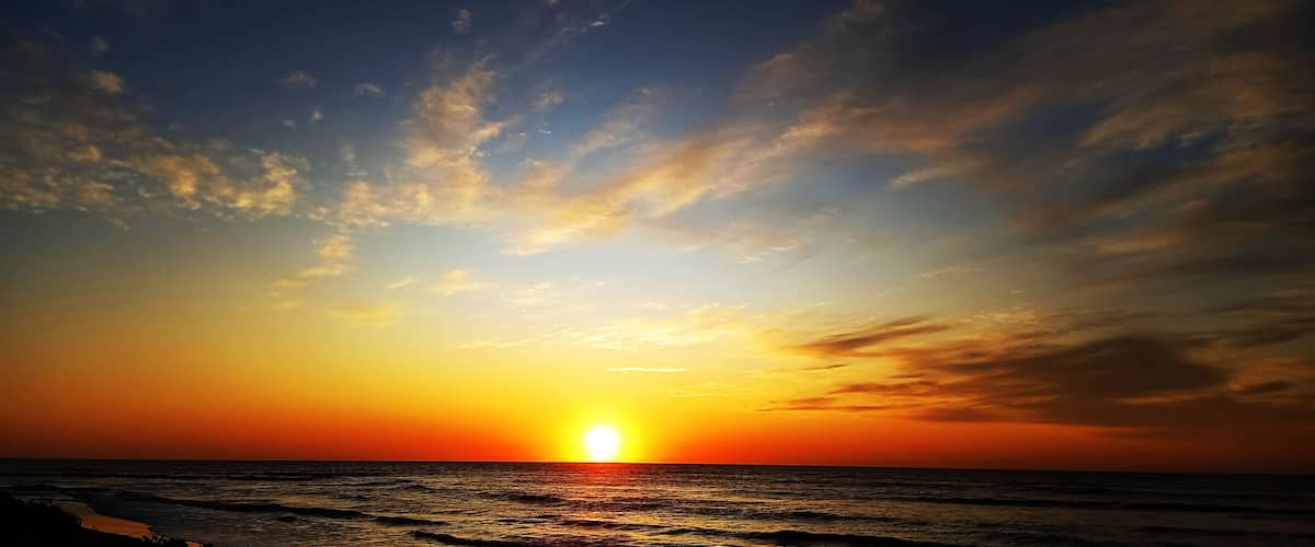 Pôr do sol sobre o oceano com céu limpo e silhuetas de árvores.