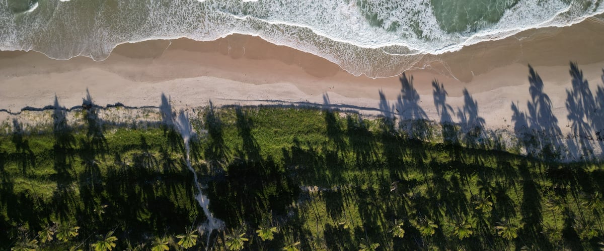 Uma praia com ondas quebrando na costa, palmeiras e céu limpo.