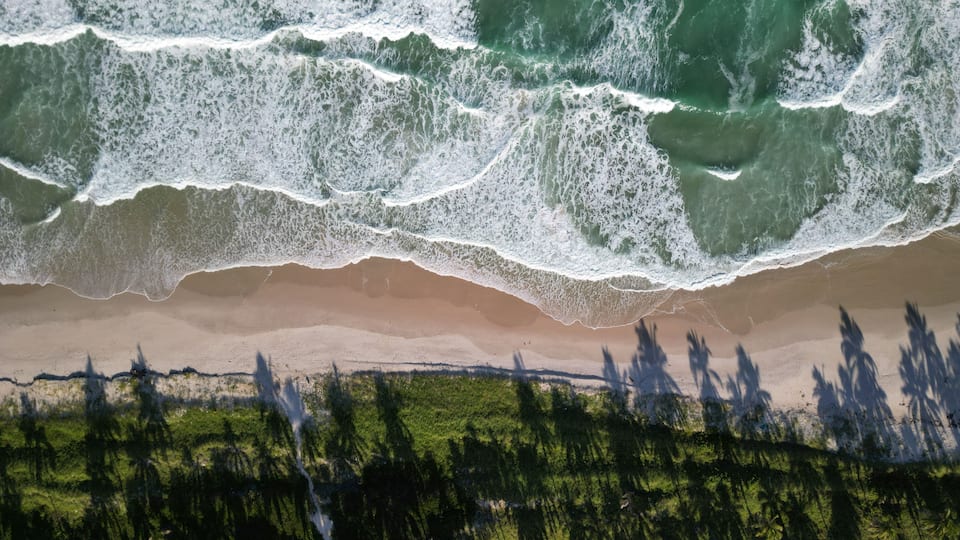 Trecho rústico da Praia do Francês, destino de viagem perto de Maceió com praia deserta, coqueiros e ondas ideais para surfe em Alagoas