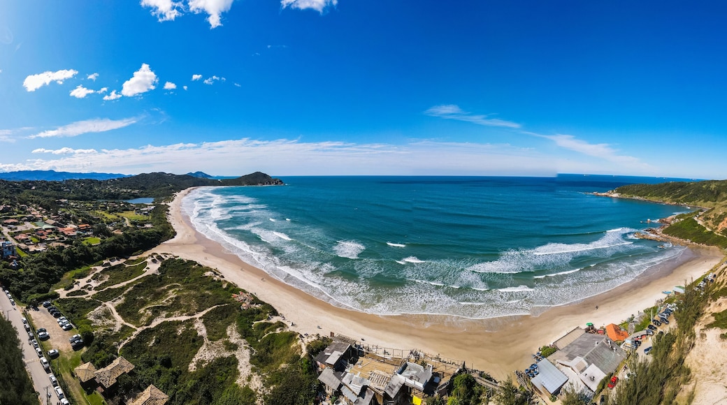 Hoher Bach